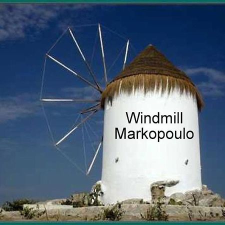 Athens 24-Hours Hostel #Athensairport #Latecheck-In #Privatetransportservice #Groups #Downtown Markopoulo Mesogaias Bagian luar foto